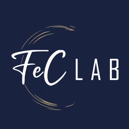 Fec Lab